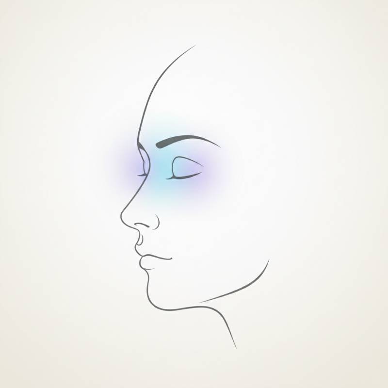 A clean graphic diagram illustrating deep pressure stimulation points on a human face.