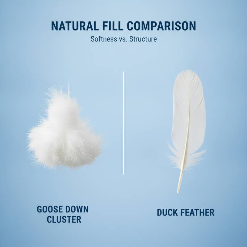 Down vs feather pillow comparison showing soft down clusters and structured feathers